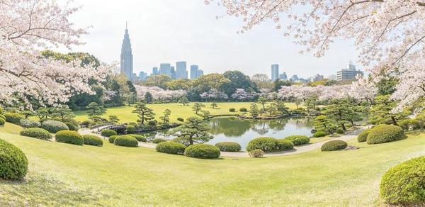 Shinjuku Gyoen